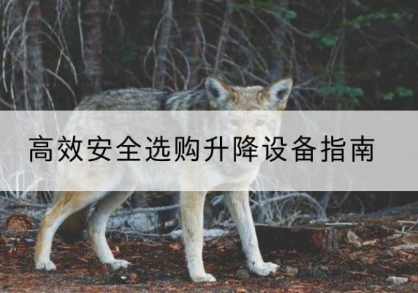 平远升降货梯厂家推荐-*安全选购升降设备指南