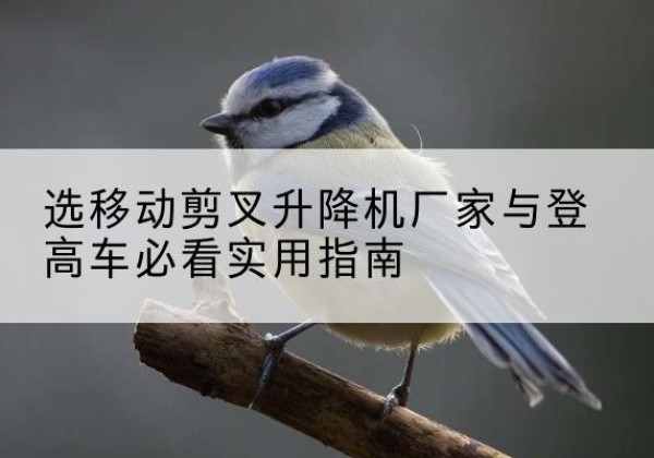 平远电动升降机厂家-选移动剪叉升降机厂家与登高车必看实用指南